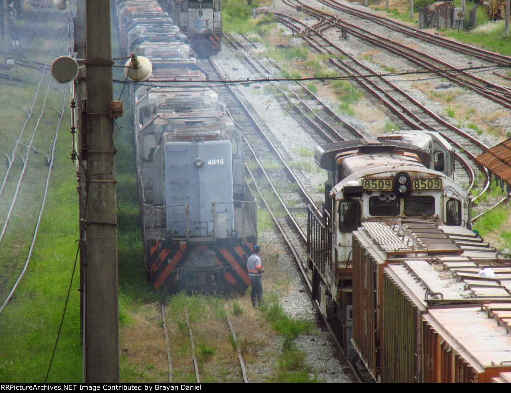 VLI 4816